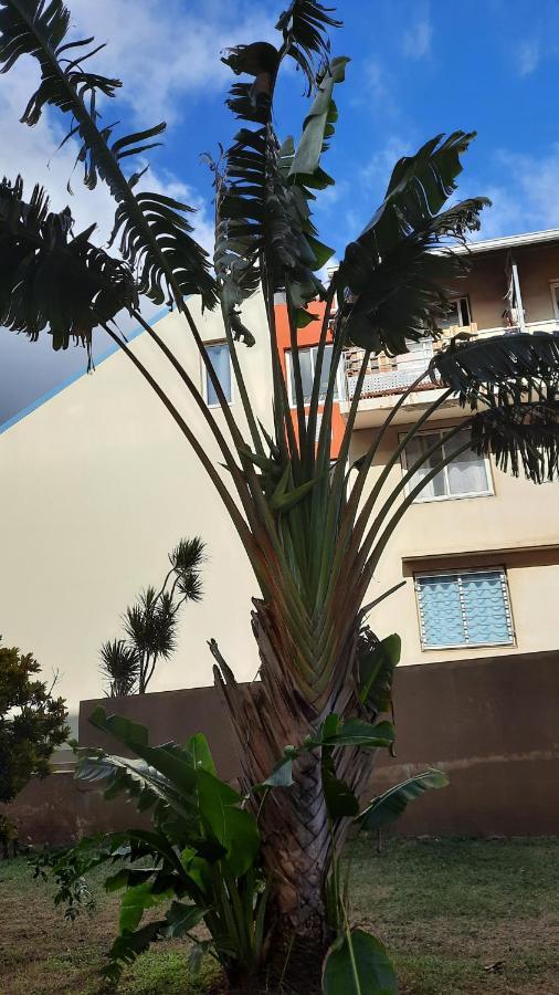 Appartamento Le Voyageur à Terre-Sainte, Saint-Pierre Esterno foto